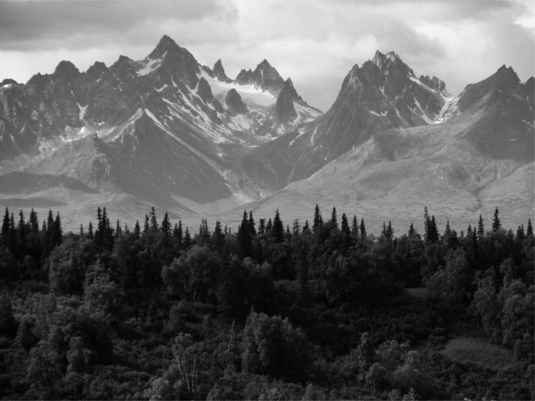 Black and white landscape of mountains and trees