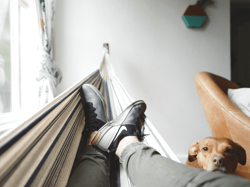person laying in hammock next to dog